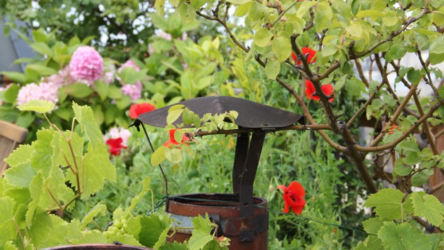 Un mitron chapeauté et fleuri. A chimney top decked in hat and flowers.